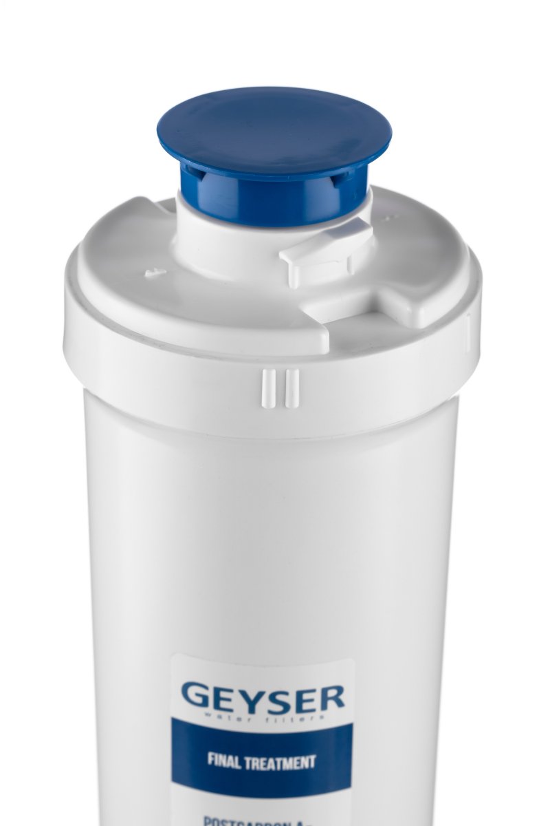 Сменный фильтрующий элемент Гейзер Посткарбон Ag Смарт (30640)